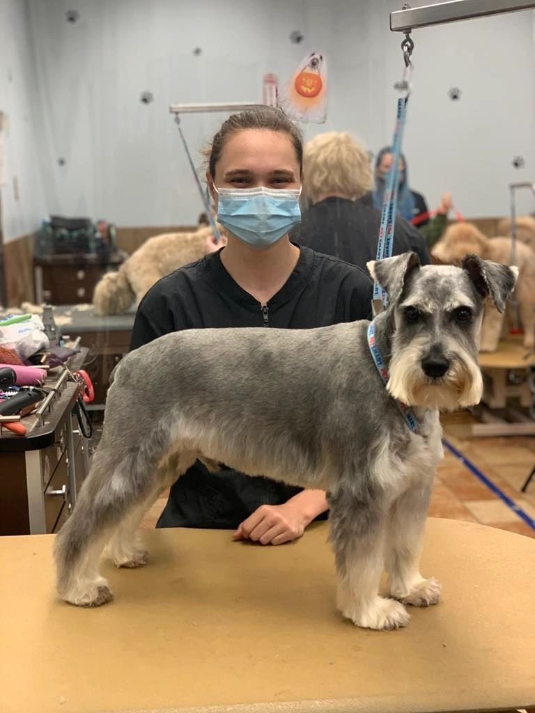 Stephanie, certified dog groomer at SS.Grooming_