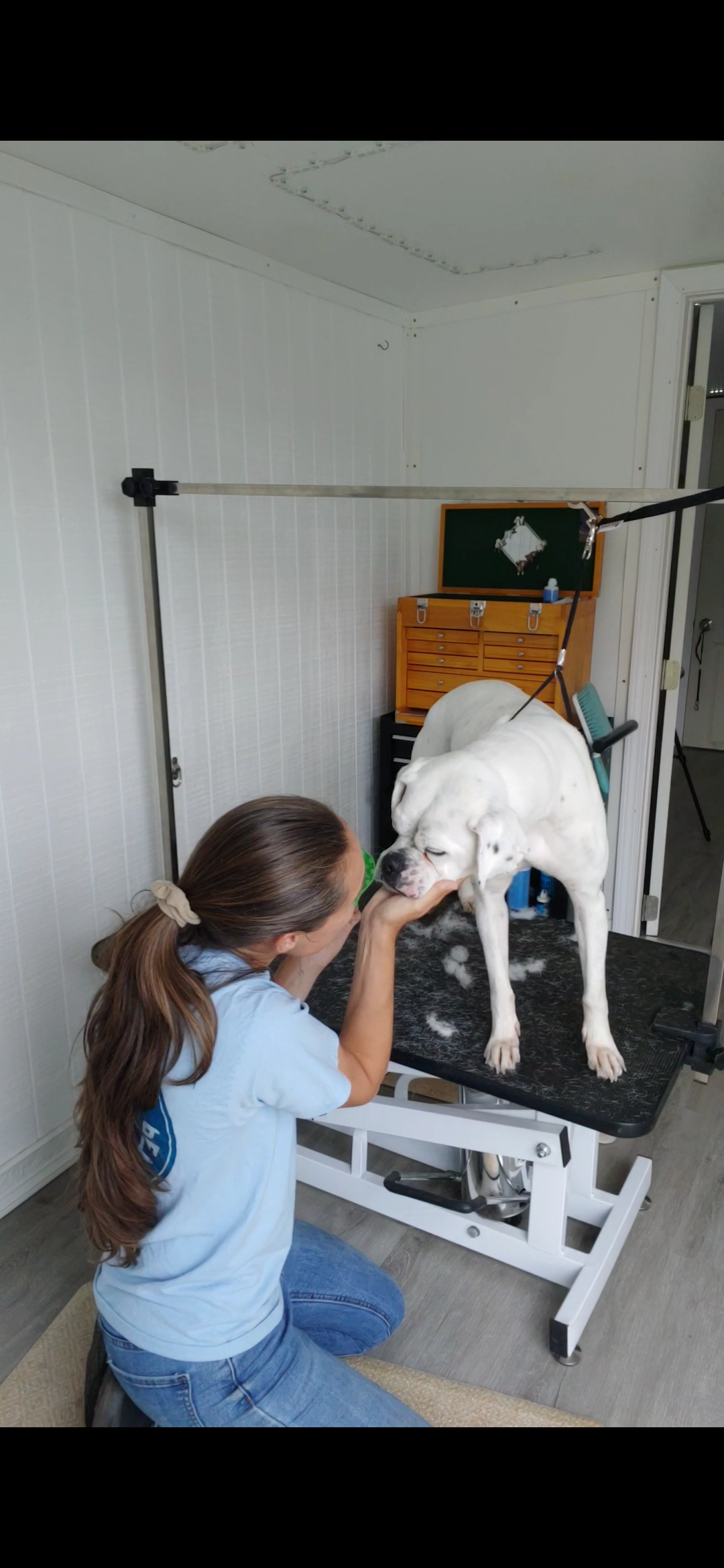 Happy dog being groomed at SS.Grooming_