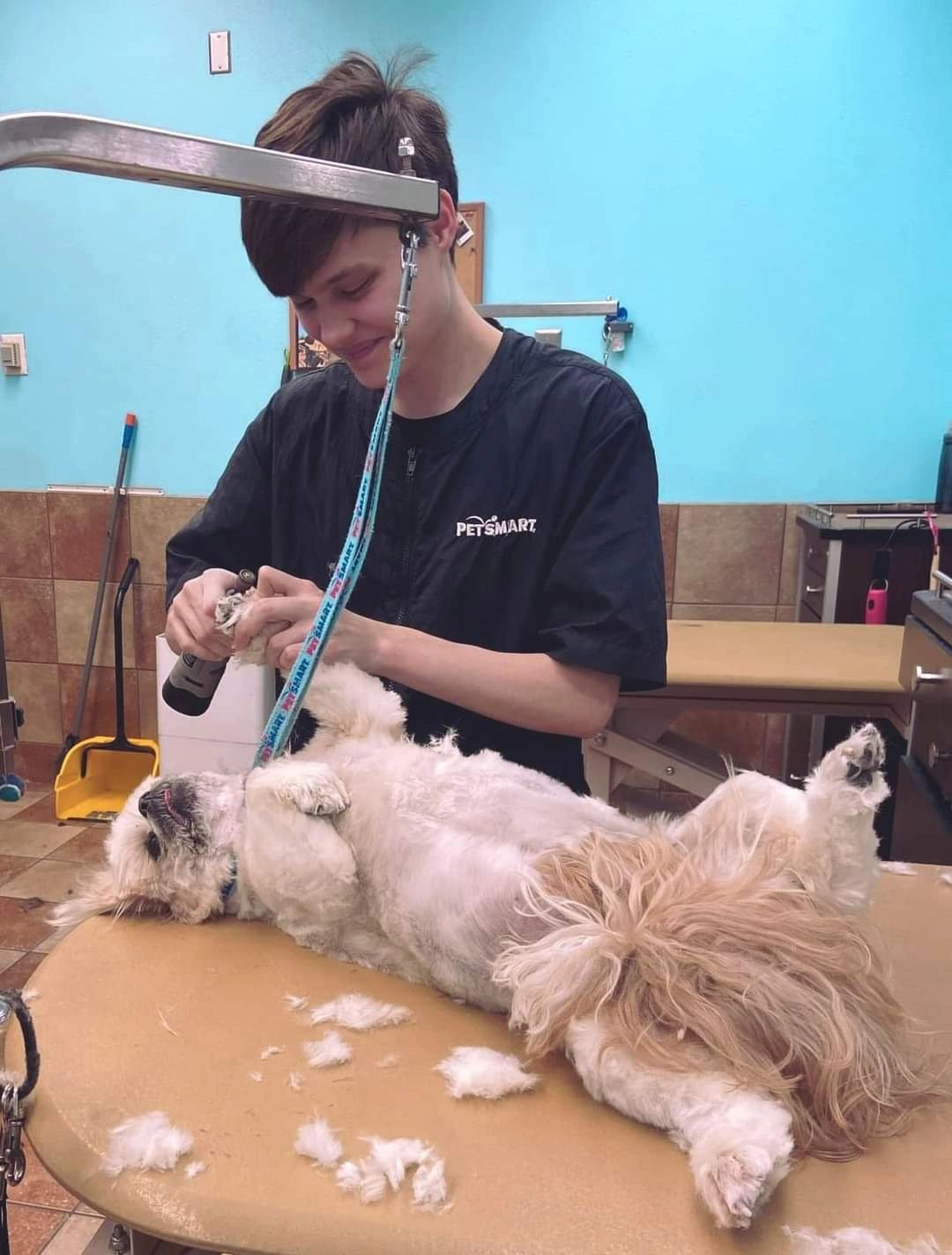 Professional groomer with dog